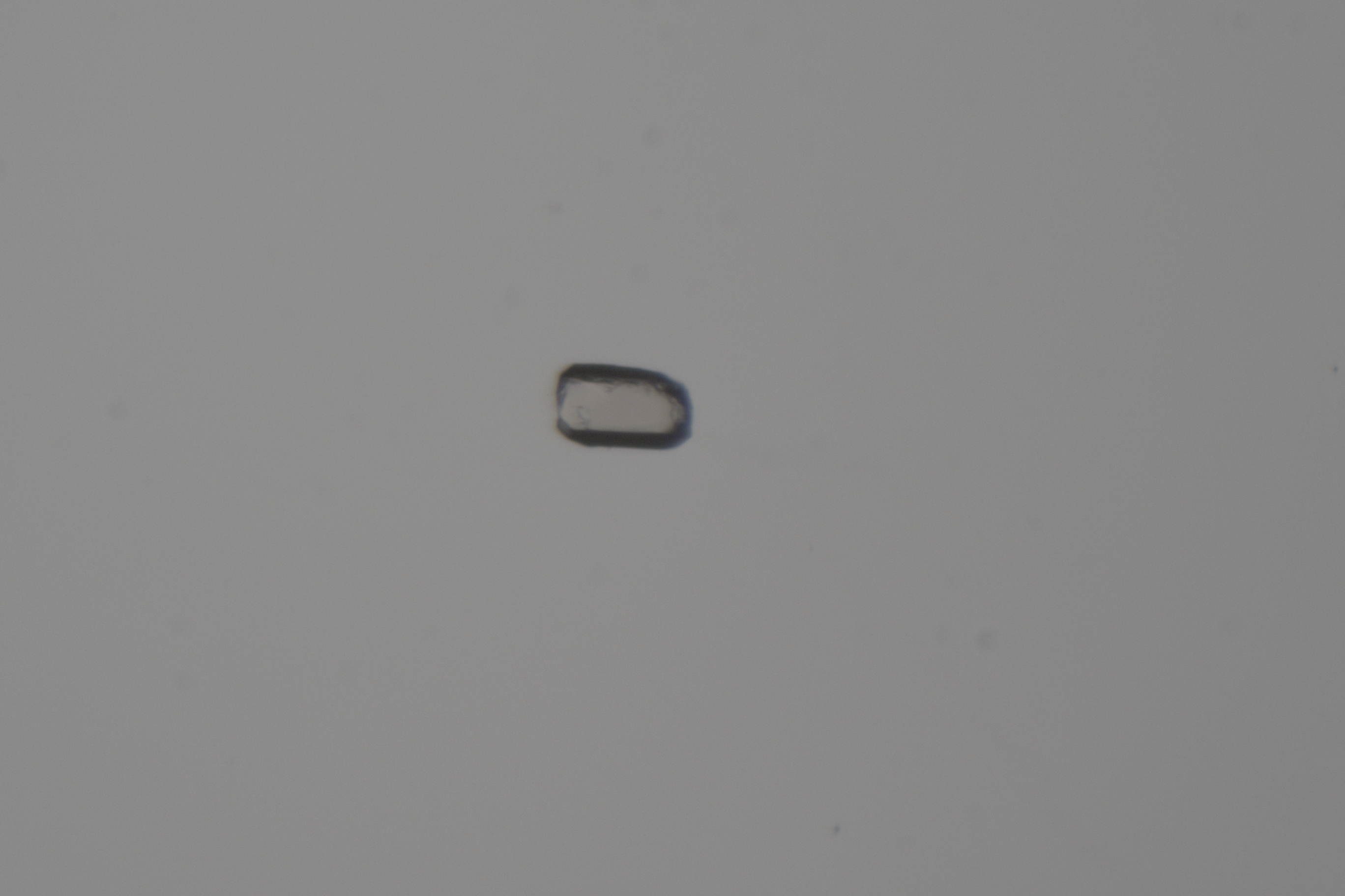 Microscope image of apatite grain for (U-Th)/He dating.